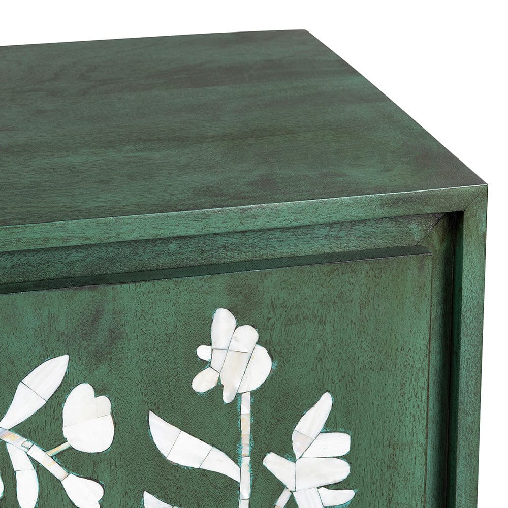 Crestview Collection - Green Solid Wood 2 Door Accent Cabinet - CVFNR5229 view 4