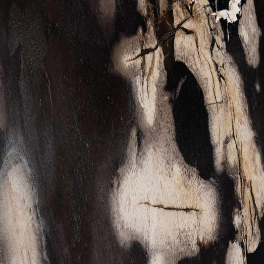 Four Hands - Bevin End Table - Dark Petrified Wood - 227724-001 veiw 3