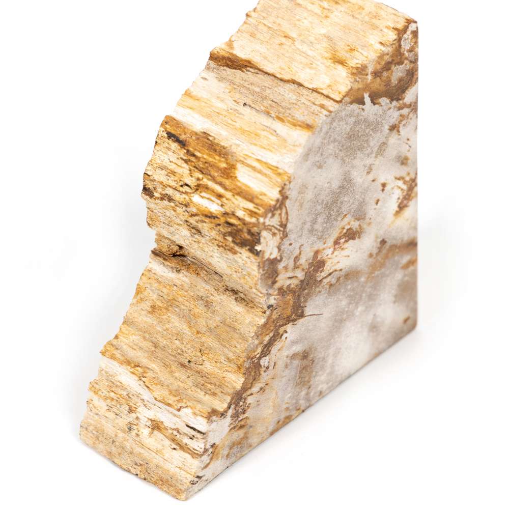 Four Hands - Petrified Wood Book Ends - Light - 229858-001 veiw 5
