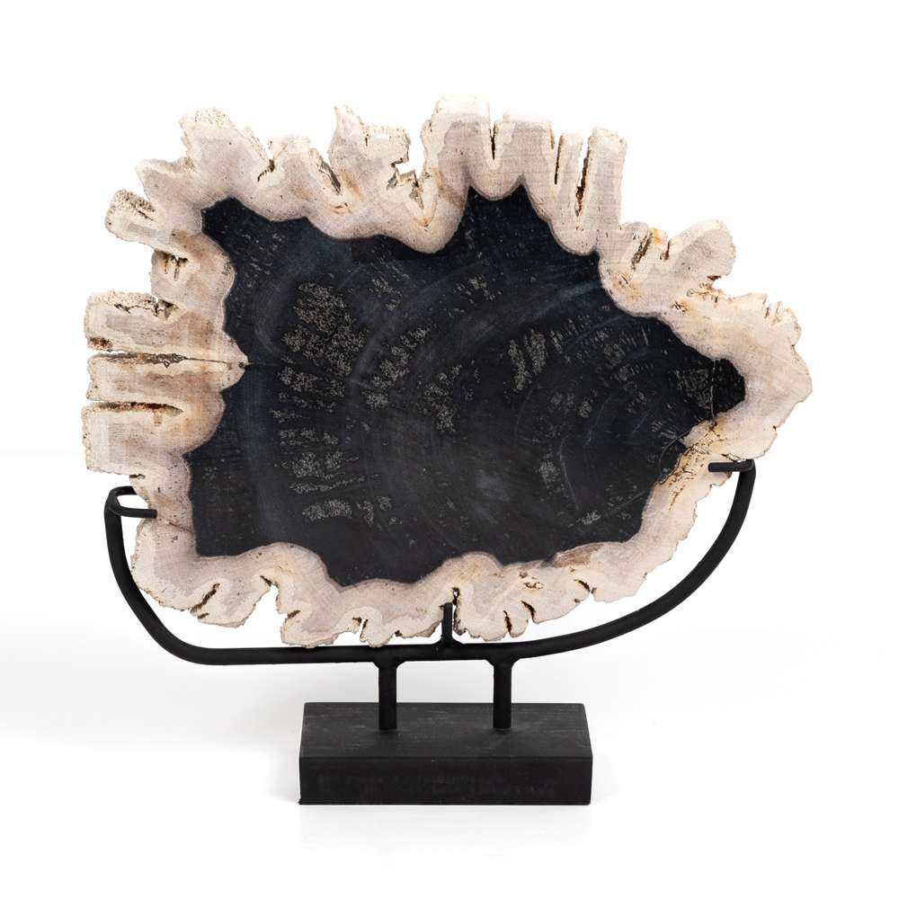 Four Hands - Petrified Wood Sculpture - Dark - 227717-001 veiw 5