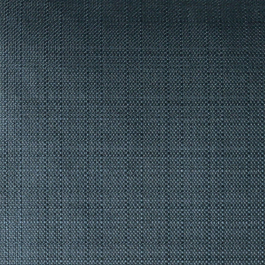 Furniture of America - Dee 20" X 20" Pillow Set of 2 in Indigo - PL8035-2PK View 2