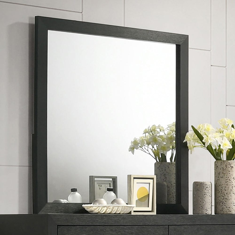 Furniture of America - Latimer Mirror in Black - FM7270BK-M View 1