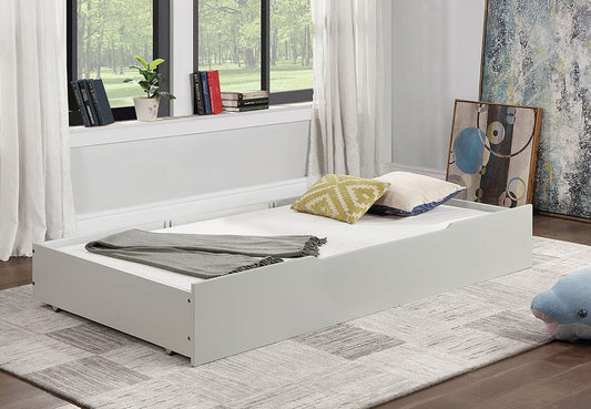 Furniture of America - Lycorida Trundle/Drawer in Light Gray - CM7477GY-TR View 2