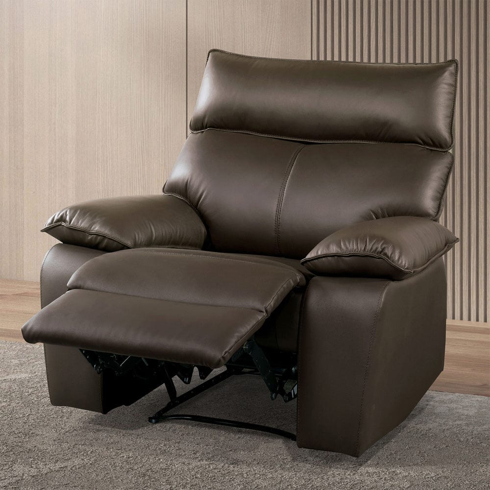 Furniture of America - Onoria Recliner in Brown - FM69008BR-CH-M View 1