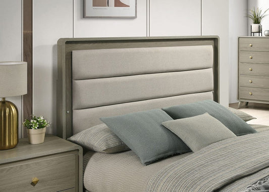 Furniture of America - Rainier Upholstered Queen Bed in Gray - FM72002GY-Q-U-BED View 2