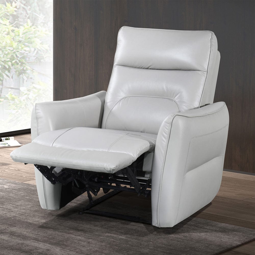 Furniture of America - Terentius Power Recliner in Taupe - FM69006TP-CH-PM View 1