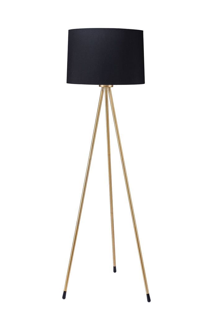 Furniture of America - Zera Floor Lamp in Black/Gold - L731181-BK View 1