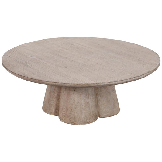 Henry & Mason - Shali Reclaimed Pine Wood Coffee Table in Light Warm Wash Finish - DV7429 veiw 2