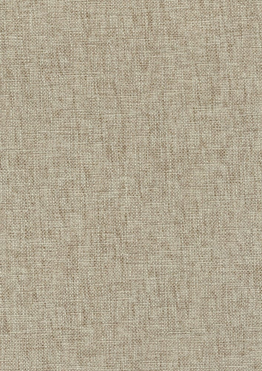 Homelegance - Asher Counter Height Chair in Beige - 5800BK-24 view 2