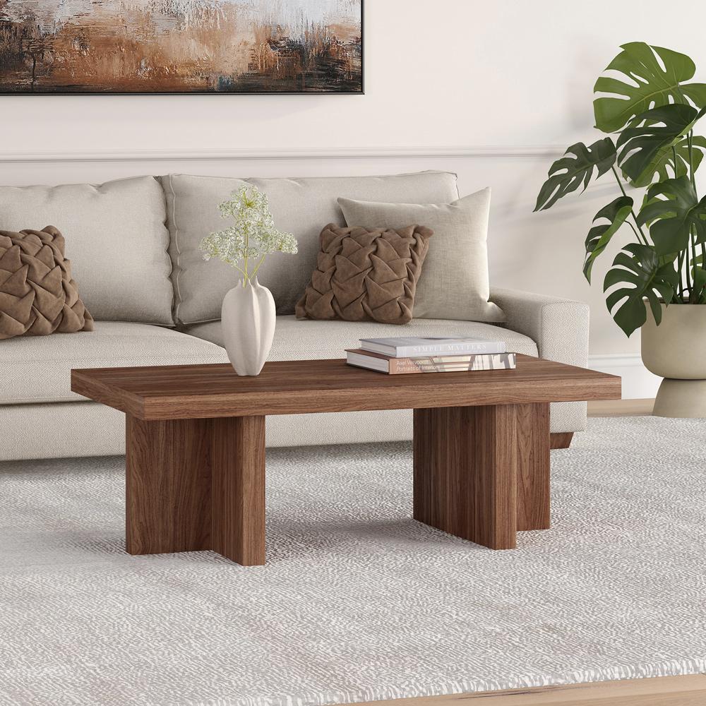 Hudson & Canal - Dimitra 44in Wide Rectangular Coffee Table in Satin Walnut - CT2333 veiw 4