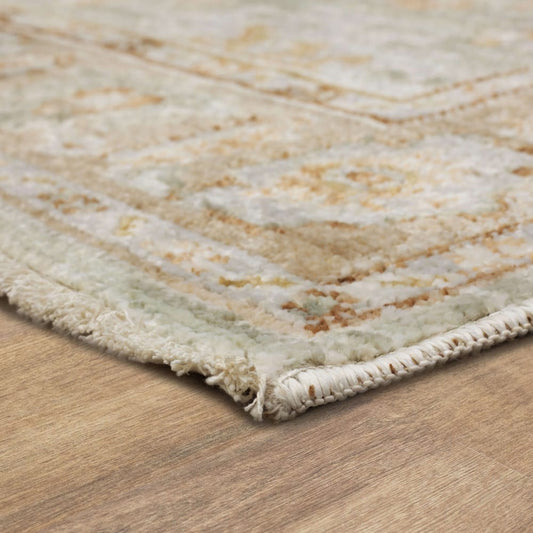 Karastan - Anzali Dusty Sage 5' 3" x 7' 10" Area Rug - R1392 1035 063094 IR view 2