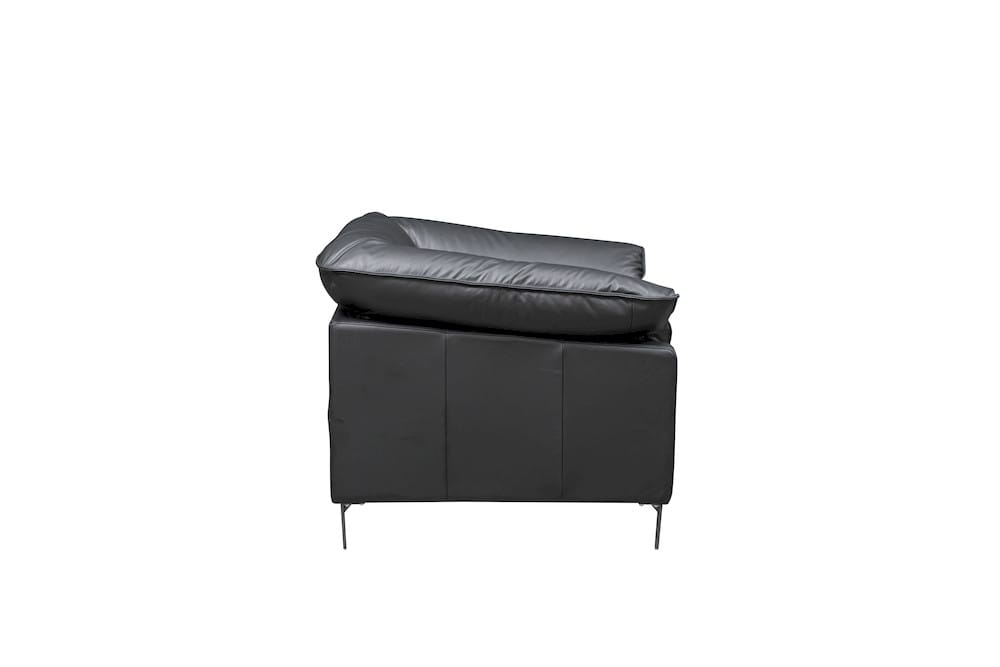 Klaussner Furniture - Skyline - Dolce Stationary Black Leather Chair With Cushion Arms - KLA-SKY-F011+1.25P-R22BLACK view 3