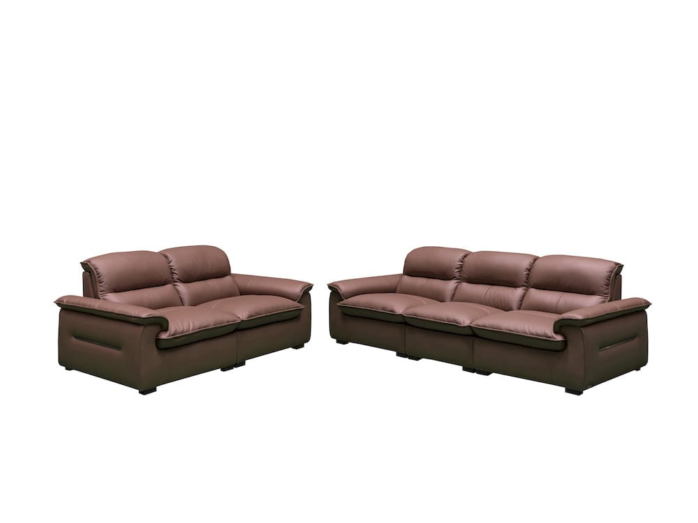 Klaussner Furniture - Skyline - Stationary Loveseat-Middle Size In A5 Series Leather - Pvc R57-P Brown view 3
