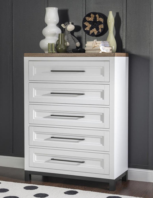 Legacy Classic Kids - Dutton Five Drawer Chest - 1568-2200 veiw 2