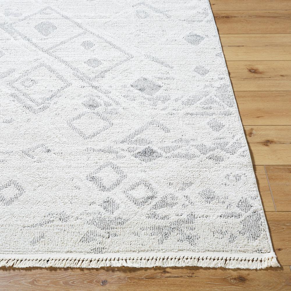 Livabliss - Berlin 27inx73in Machine Woven Rug - BLR2316-2773 veiw 4