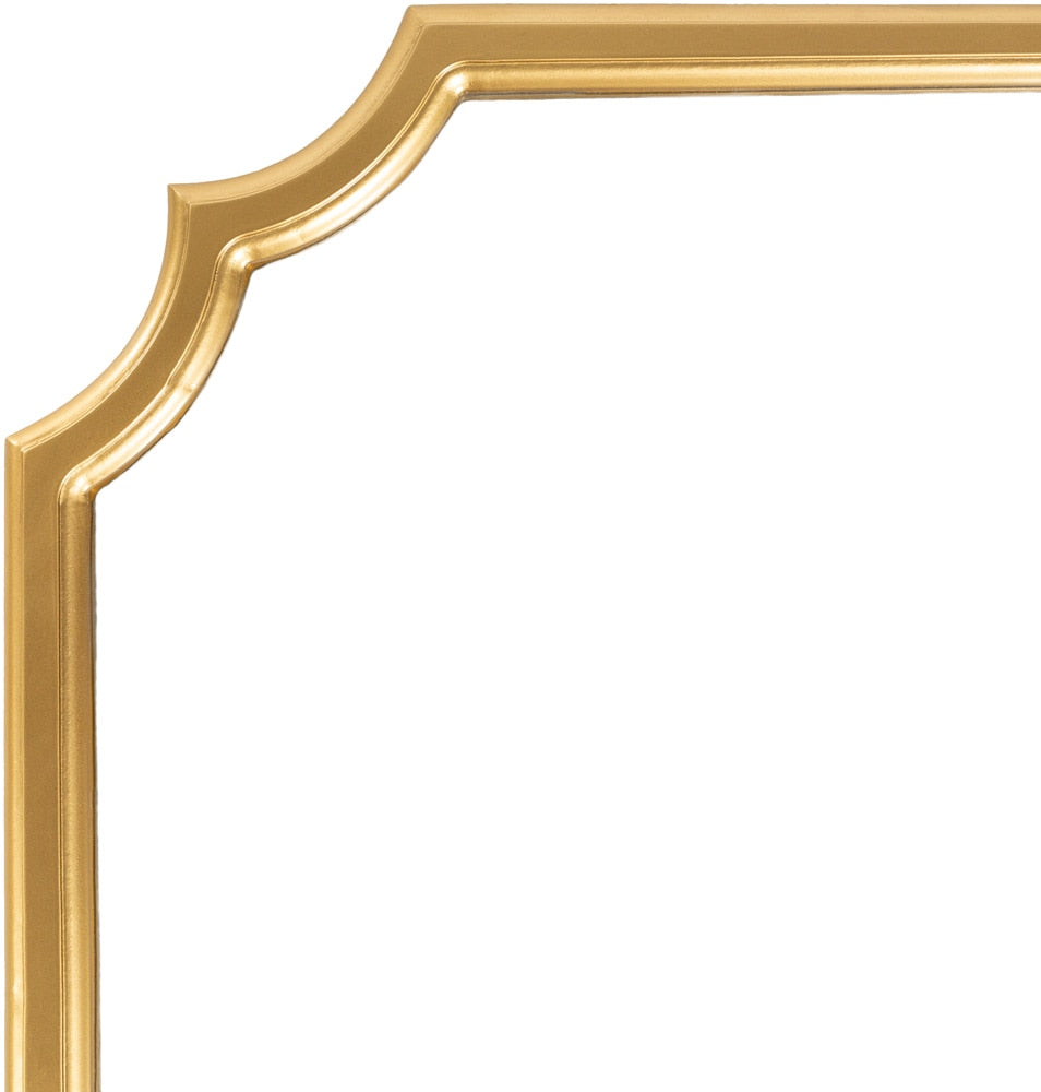 Livabliss - Cecilia Accent Mirror - Gold - CCI001-2424 veiw 2