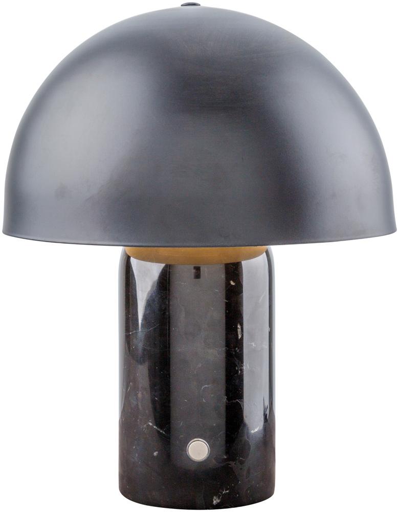 Livabliss - Herbage Accent Table Lamp - Black - HRB-001 veiw 1