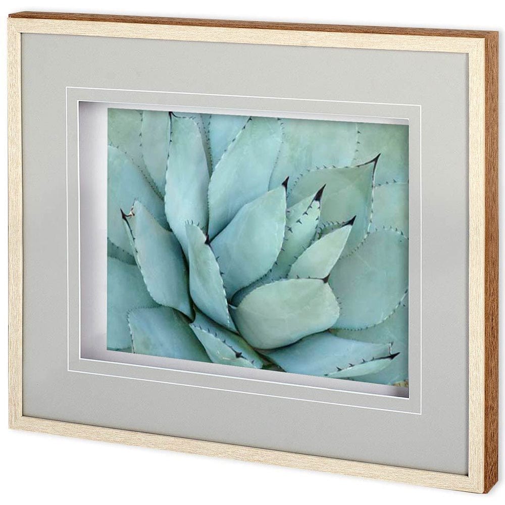 Mercana - Agave Detail IV by Alison Jerry a Framed Art Print Matted under Glass - 11116 view 1