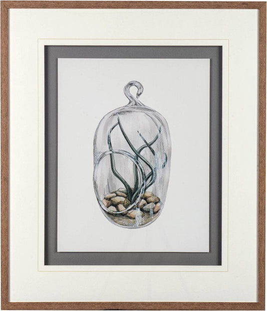 Mercana - Air Plant 1 by Harvey, Brenna a Framed Art Print Matted under Glass - 10292 view 2