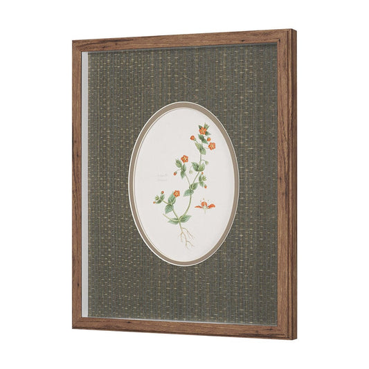 Mercana - Anagallis Arvensis Flowers by Pierre Joseph Redoute a Hand Embellished Framed Print under Glass - 15807 view 2