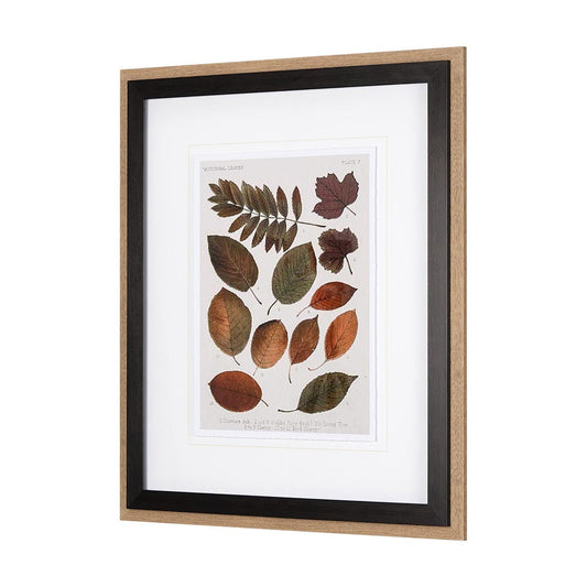Mercana - Autumnal Leaves II by Vision Studio a Framed Art Print Matted under Glass - 10681 view 2