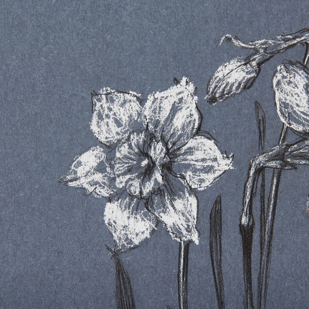 Mercana - Botanical sketches I Blue by Mercana Studio Hand Embellished Framed Art Print Matted under Glass - 14582 view 7
