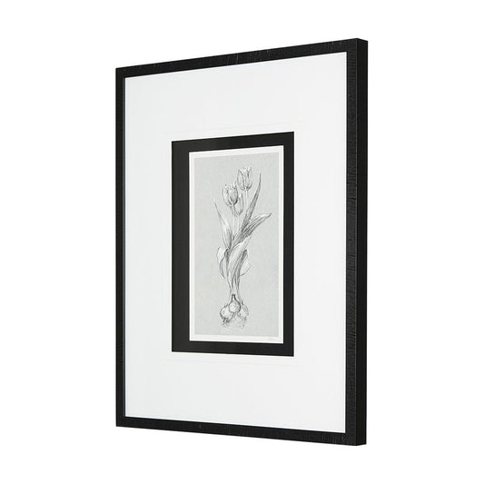Mercana - Botanical sketches I Grey by Mercana Studio Hand Embellished Framed Art Print Matted under Glass - 14534 view 2