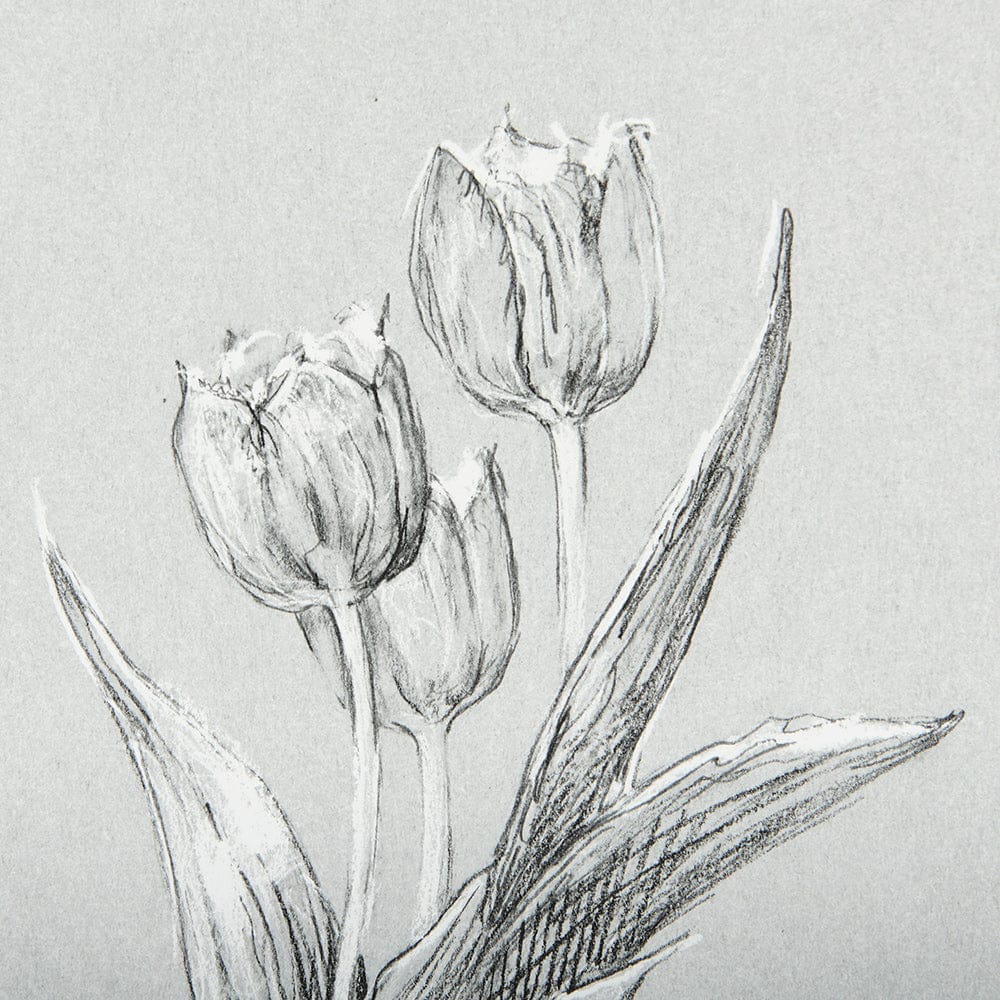 Mercana - Botanical sketches I Grey by Mercana Studio Hand Embellished Framed Art Print Matted under Glass - 14534 view 7