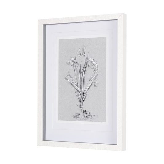 Mercana - Botanical sketches III Grey by Mercana Studio Hand Embellished Framed Art Print Matted under Glass - 14588 view 2