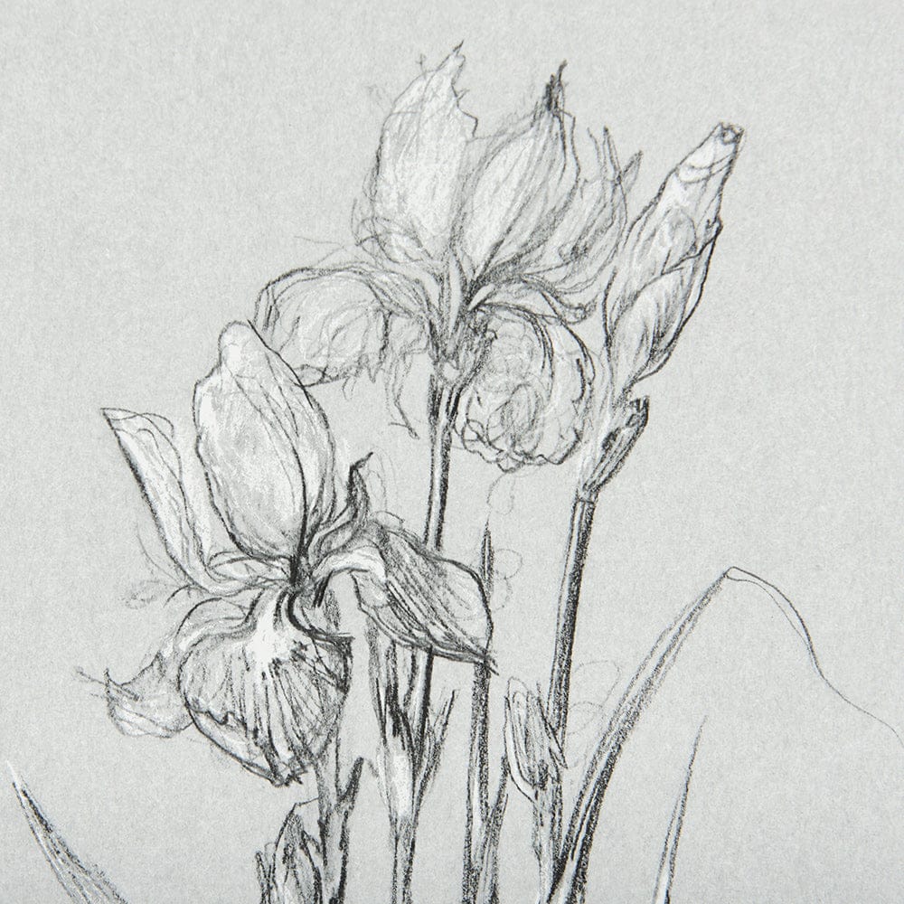 Mercana - Botanical sketches IV Grey by Mercana Studio Hand Embellished Framed Art Print Matted under Glass - 14537 view 7