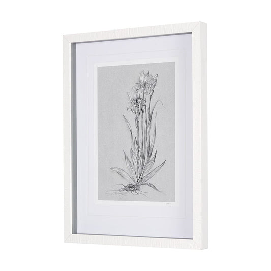 Mercana - Botanical sketches IV Grey by Mercana Studio Hand Embellished Framed Art Print Matted under Glass - 14589 view 2