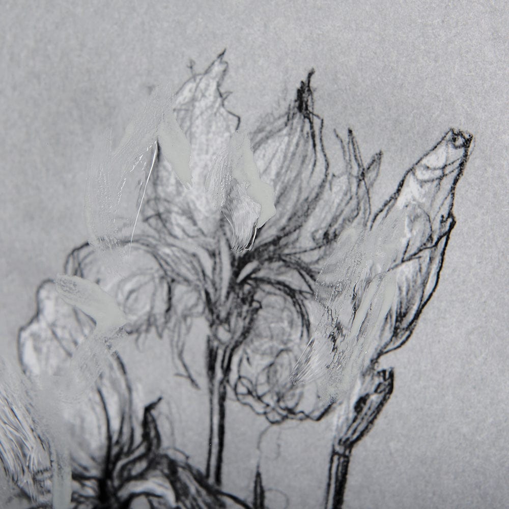 Mercana - Botanical sketches IV Grey by Mercana Studio Hand Embellished Framed Art Print Matted under Glass - 14589 view 7