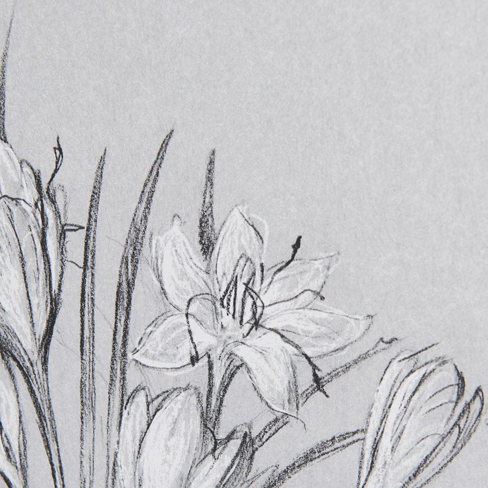 Mercana - Botanical sketches V Grey by Mercana Studio Hand Embellished Framed Art Print Matted under Glass - 14538 view 7