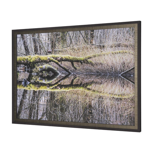 Mercana - Branchscape Moss - Reflect by Mikael Svensson a Framed Art Print Matted under Glass - 15588 view 2