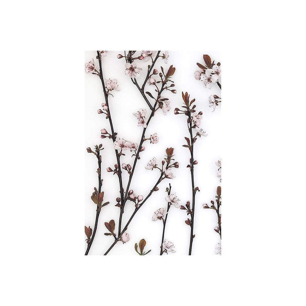 Mercana - Budding Blossom by Frank Assaf a Hand Embellished Textured Canvas - 101797-S view 1