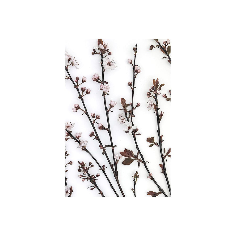 Mercana - Budding Blossom by Frank Assaf a Hand Embellished Textured Canvas - 101798-S view 1