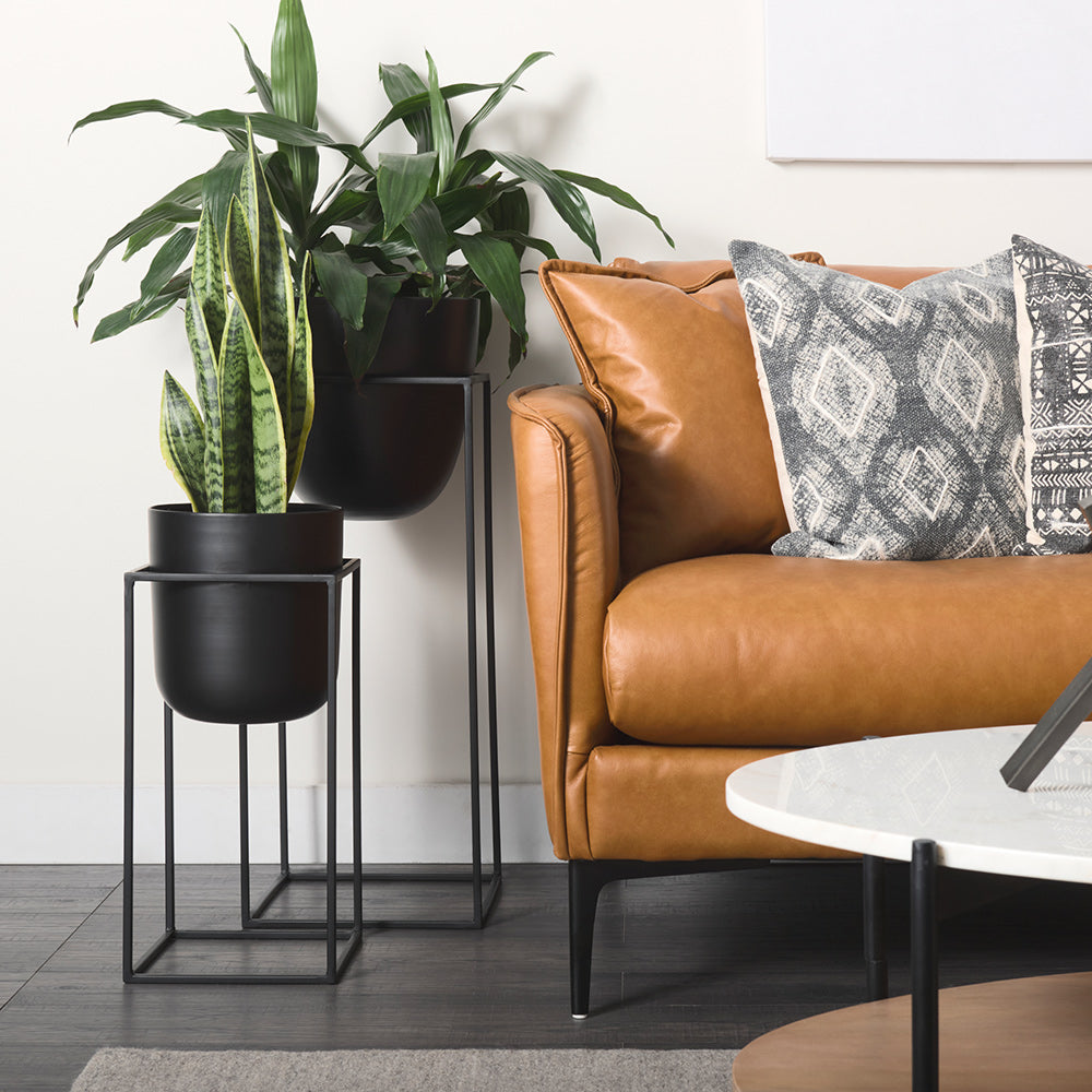 Mercana - Bumble 12L x 12W x 32H Black Plant Stands (Set of 2) - 68828 view 8