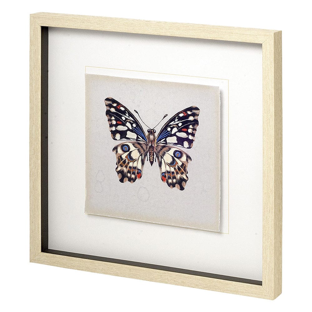 Mercana - Butterfly Study II by Melissa Wang a Hand Embellished Textured Framed Art Print Matted under Glass - 11348 view 1