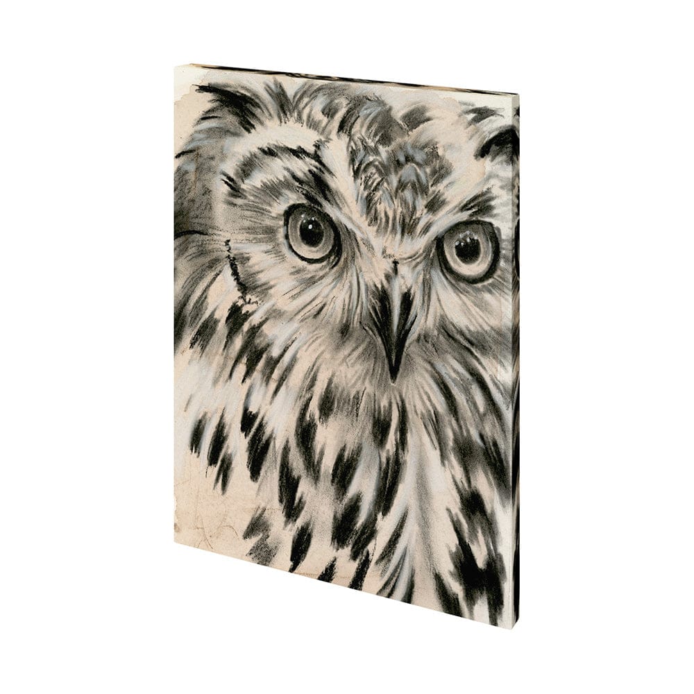 Mercana - Charcoal Owl I by Jennifer Paxton Parker a Hand Embellished Textured Canvas - 101376-L view 1