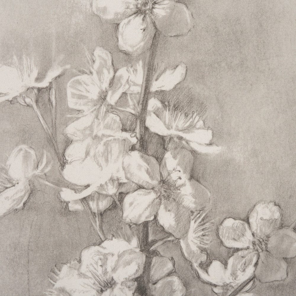 Mercana - Cherry Blossom Sketch I by Mercana Studio a Hand Embellished Framed Art Print - 15479 view 5