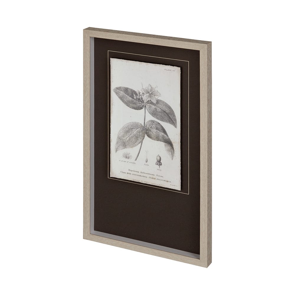 Mercana - Conversations on Botany VIII by Mercana Studio Hand Embellished Framed Art Print Matted under Glass - 12346 view 1