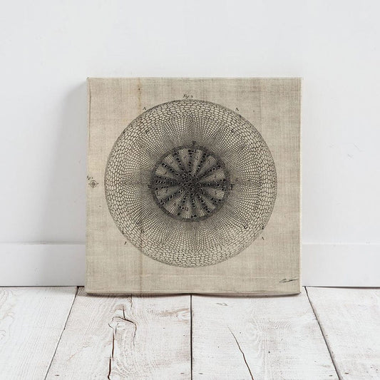 Mercana - Cross Cut IV MC by Mercana Studio a Hand Embellished Textured Canvas - 100007-S view 2
