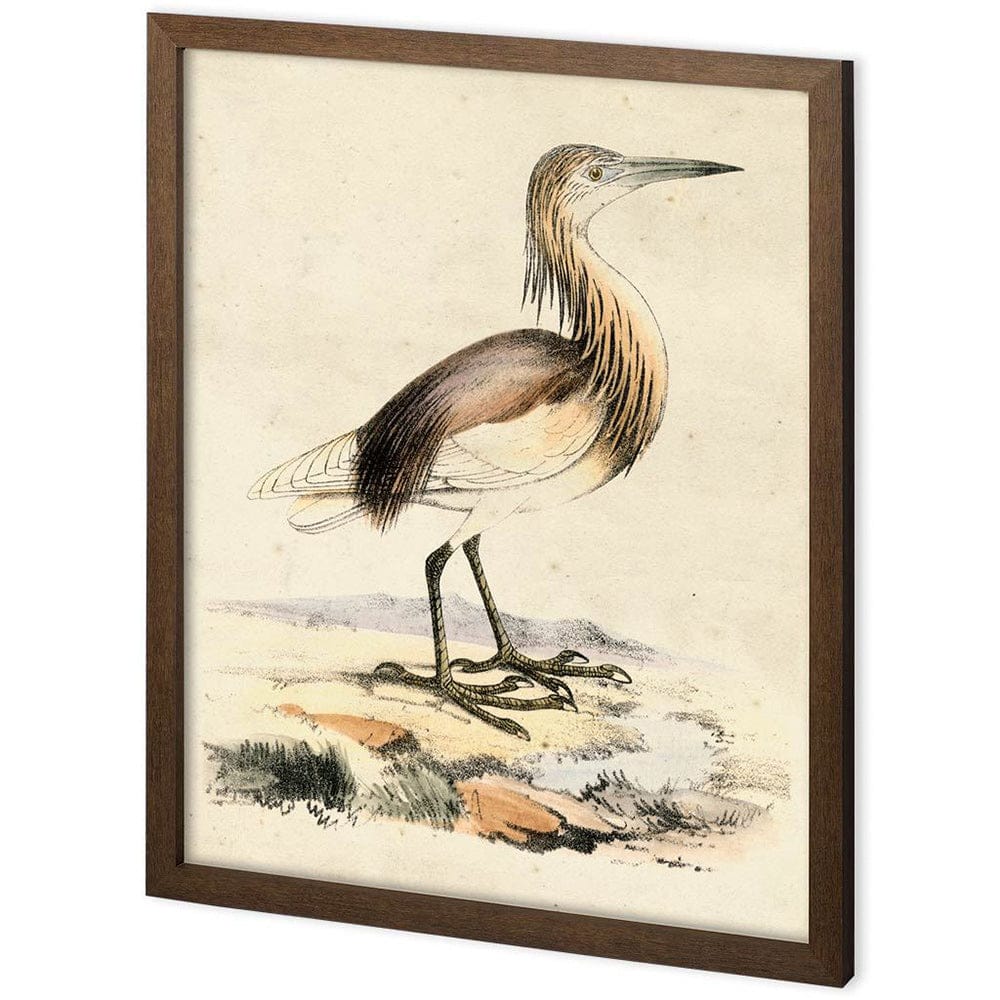 Mercana - Custom Antique Heron I by Ferdos Maleki a Hand Embellished Textured Framed Decograph Art Print - 11224 view 1