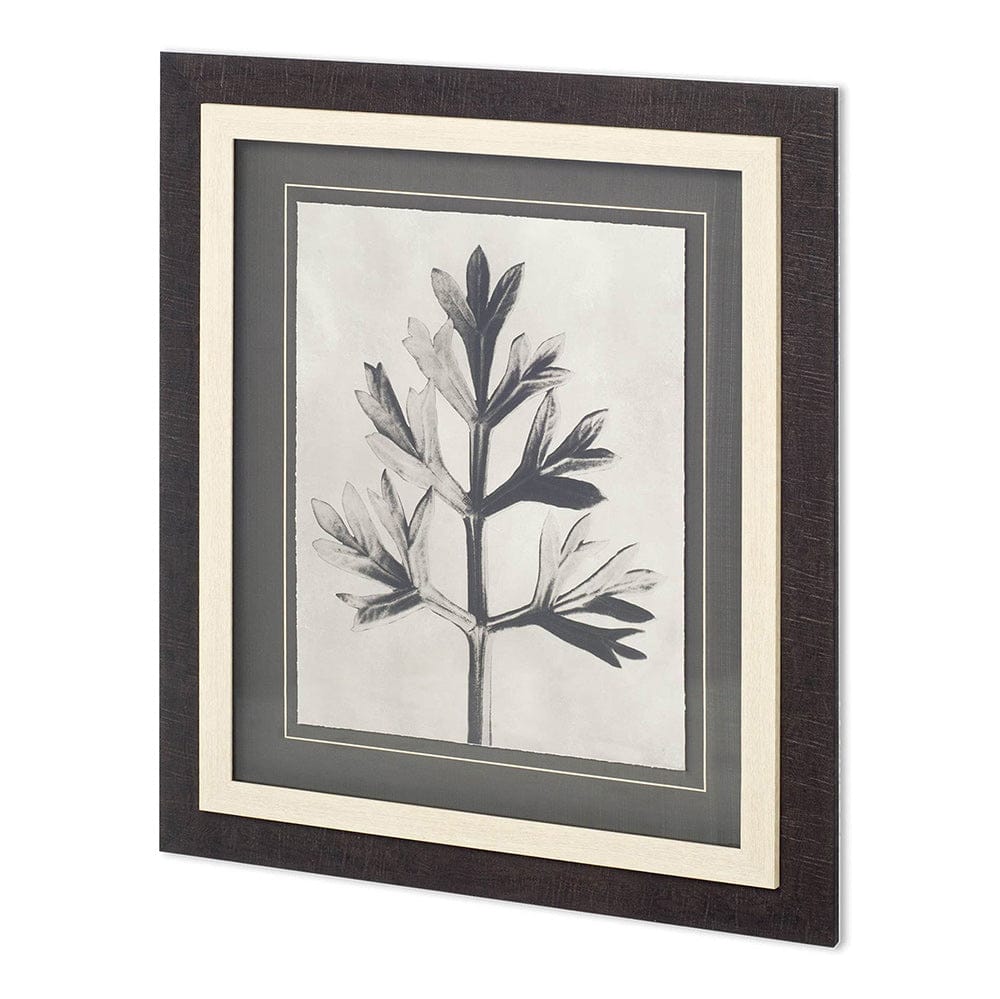 Mercana - Custom Blossfeldt Botanical I by Karl Blossfeldt Hand Embellished Framed Art Print Matted under Glas - 11964 view 1