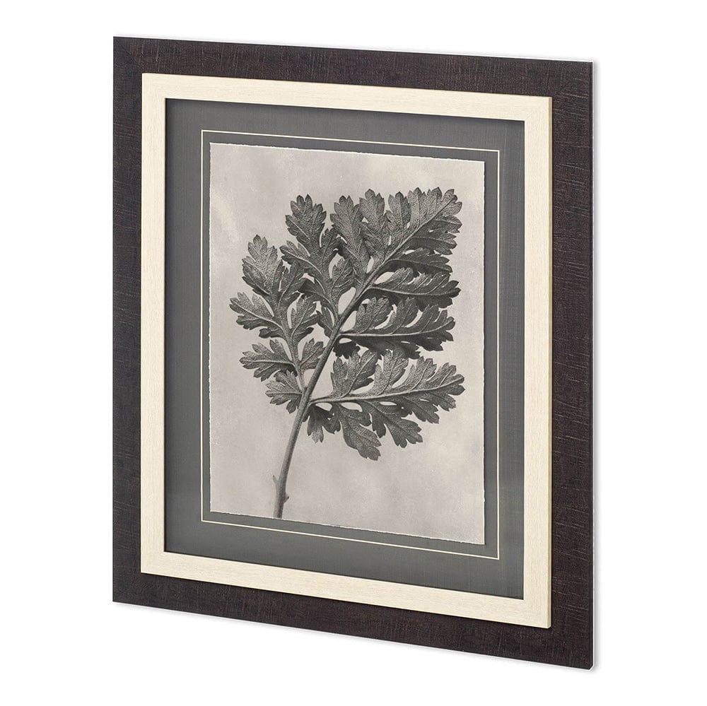Mercana - Custom Blossfeldt Botanical III Karl Blossfeldt Hand Embellished Framed Art Print Matted under Glass - 11965 view 1