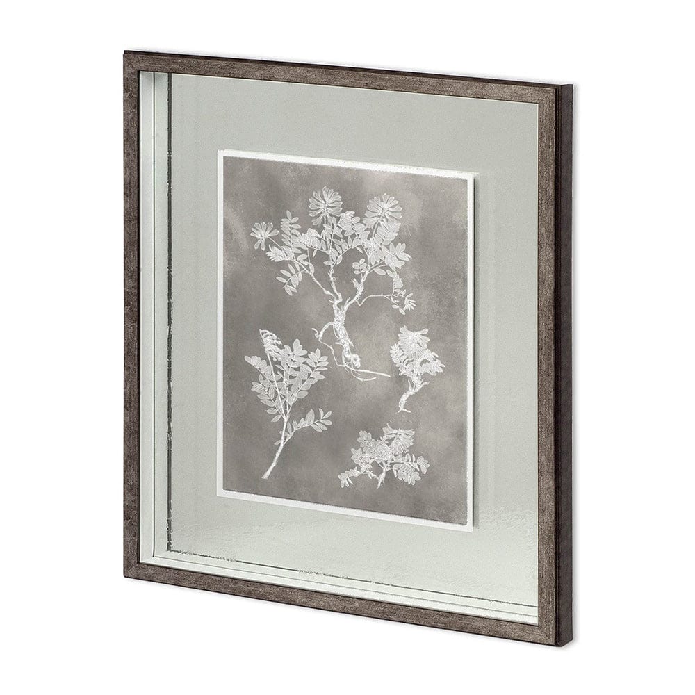 Mercana - Custom Herbarium Study II by Vision Studio Hand Embellished Framed Art Print Matted under Glass - 11417 view 1