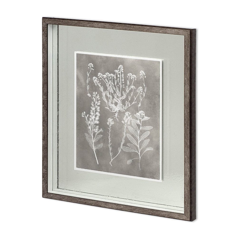 Mercana - Custom Herbarium Study III by Vision Studio Hand Embellished Framed Art Print Matted under Glass - 11418 view 1