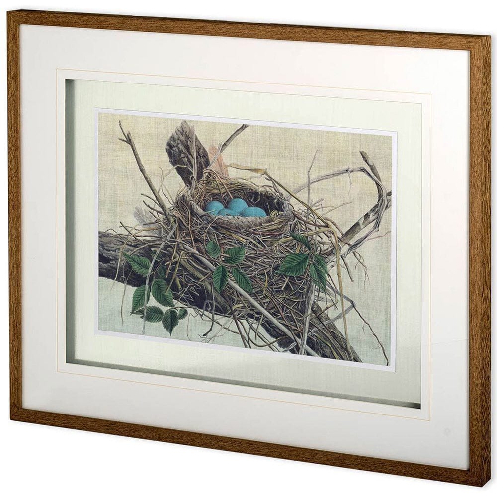 Mercana - Custom Nesting II MC by John Butler Hand Embellished Textured Framed Art Print Matted under Glass - 10778 view 1