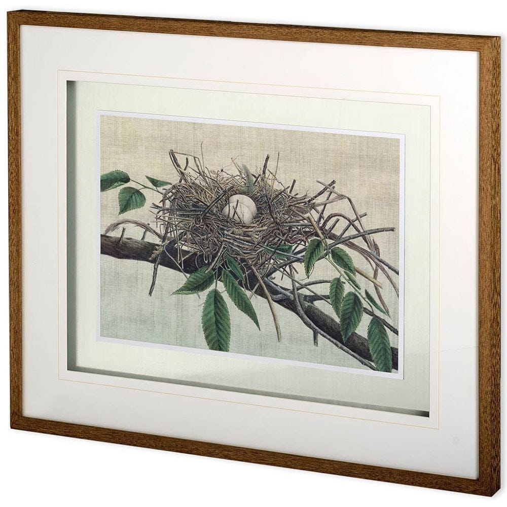 Mercana - Custom Nesting III MC by John Butler Hand Embellished Textured Framed Art Print Matted under Glass - 10779 view 1