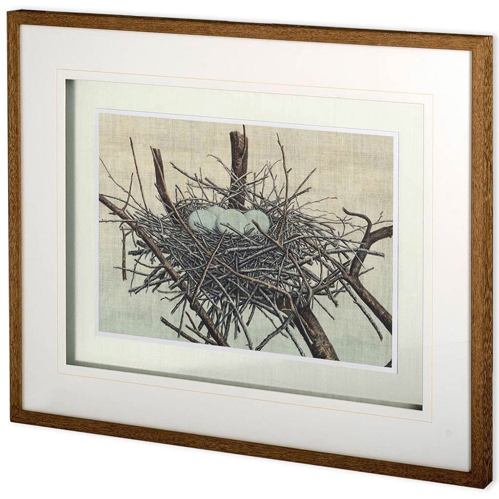 Mercana - Custom Nesting IV MC by John Butler Hand Embellished Textured Framed Art Print Matted under Glass - 10780 view 1